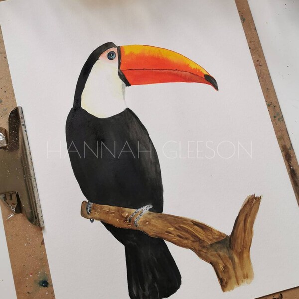 Toucan watercolour painting, wildlife art, charity donation, original artwork, WWF, bird art
