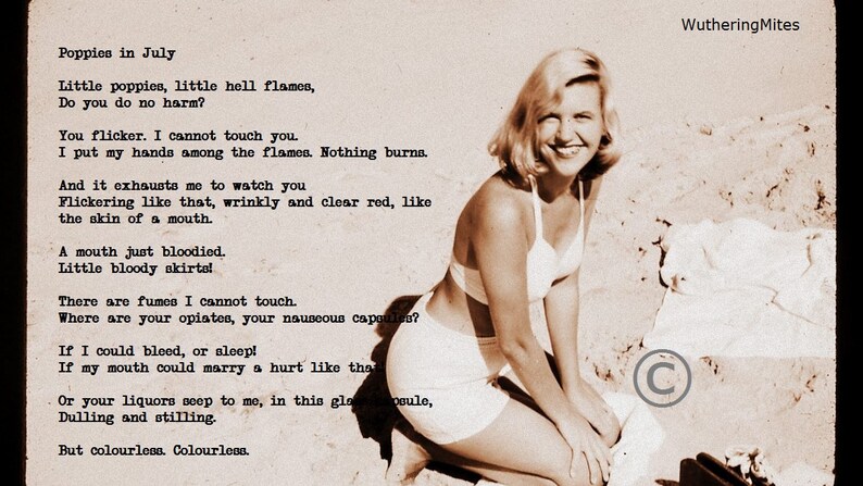 Sylvia Plath Poem Art 8 Designs image 2