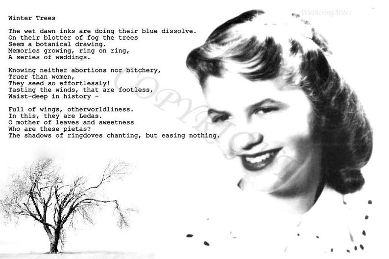 Sylvia Plath Poem Art 8 Designs image 8