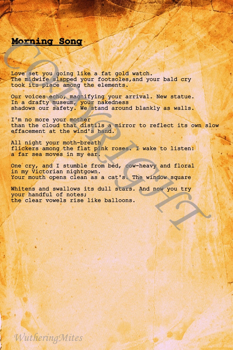 Sylvia Plath Poem Art 8 Designs image 9
