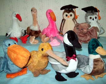 Ty Beanie Babies Vintage Collectibles - Birds #1, Batty, Beak, Loosy, Pinky, Stretch, Wise, and more.  Retired, Mint Condition