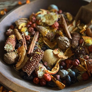 Harvest Cider Bowl Filler Potpourri - ONE bag with 4-5 cups