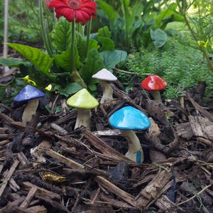 May include: Five ceramic mushrooms in different colours, including blue, green, white, and red, are arranged on a bed of brown mulch. The mushrooms are all different sizes and shapes, and they are all painted with a glossy finish.