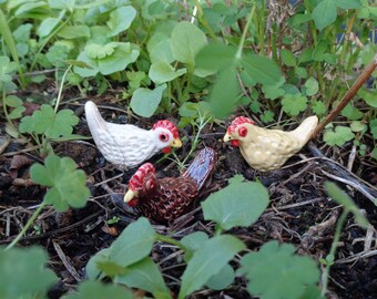 Miniature Ceramic chicken Fairy garden accessories. Pot decoration