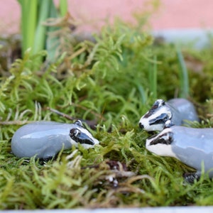 Miniature Ceramic Badger, fairy garden accessory, pot plant decoration