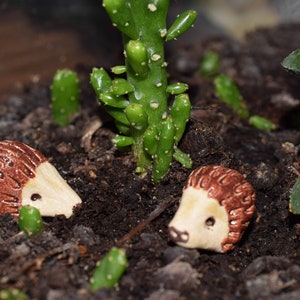 May include: Two small ceramic hedgehog figurines in a terracotta pot with green cactus plants. The hedgehogs are brown and white with painted details.