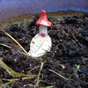 May include: A small ceramic gnome figurine with a red hat and white beard. The gnome is sitting in a bed of dark brown soil.