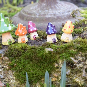 May include: Five miniature mushroom houses with white polka dots. The houses are painted in different colours: green, orange, purple, blue, and yellow. The houses are sitting on a bed of moss.