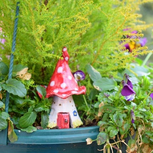 May include: A red and white ceramic mushroom house with white polka dots sits in a hanging planter with green plants and purple flowers.