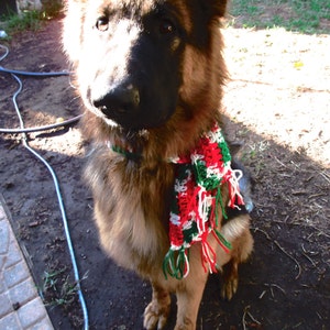 Christmas Dog Scarf Size 5XLarge Approx: 44&quot;x3-1/2