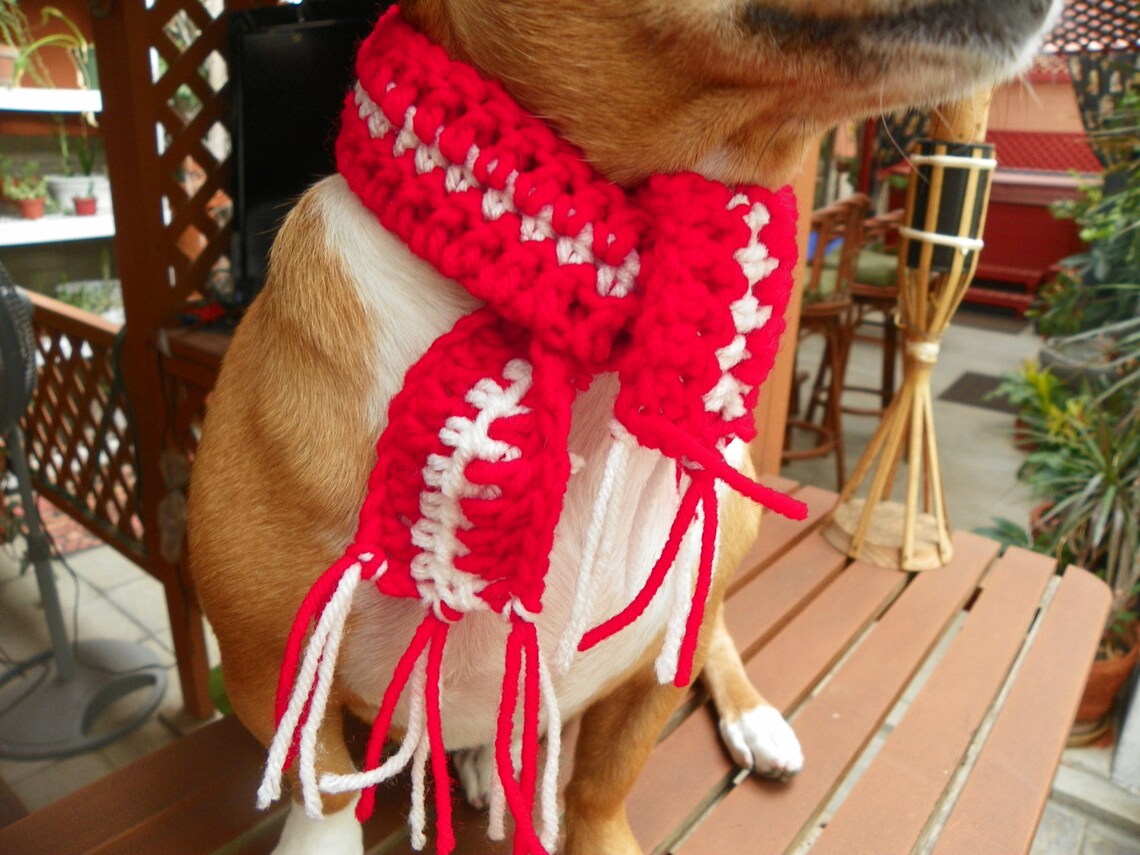 Christmas Dog Scarf Red With White Holiday Sprit Sizes Etsy