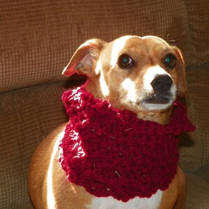 Red Dog Cowl  Scarf Neck Warmer   Sizes Petite-3XLarge Free Shipping