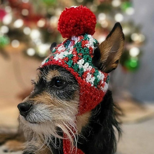 Dog Elf Hat Dog Hat Cat Hat Dog Christmas Hat Dog Crochet Etsy