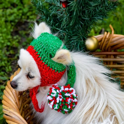 Dog Elf Hat Dog Hat Cat Hat Dog Christmas Hat Dog Crochet Etsy
