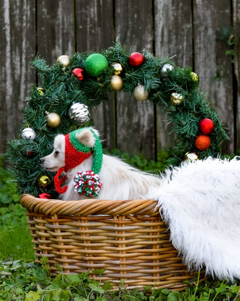 Dog Elf Hat Dog Hat Cat Hat Dog Christmas Hat Dog Crochet Etsy
