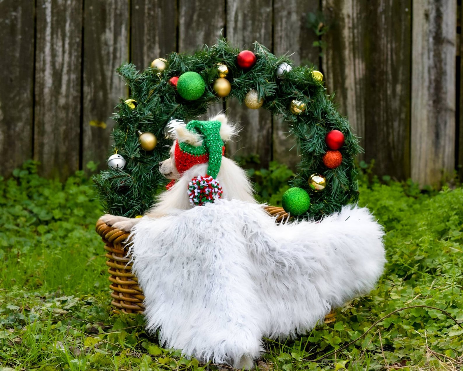 Dog Elf Hat Dog Hat Cat Hat Dog Christmas Hat Dog Crochet Etsy