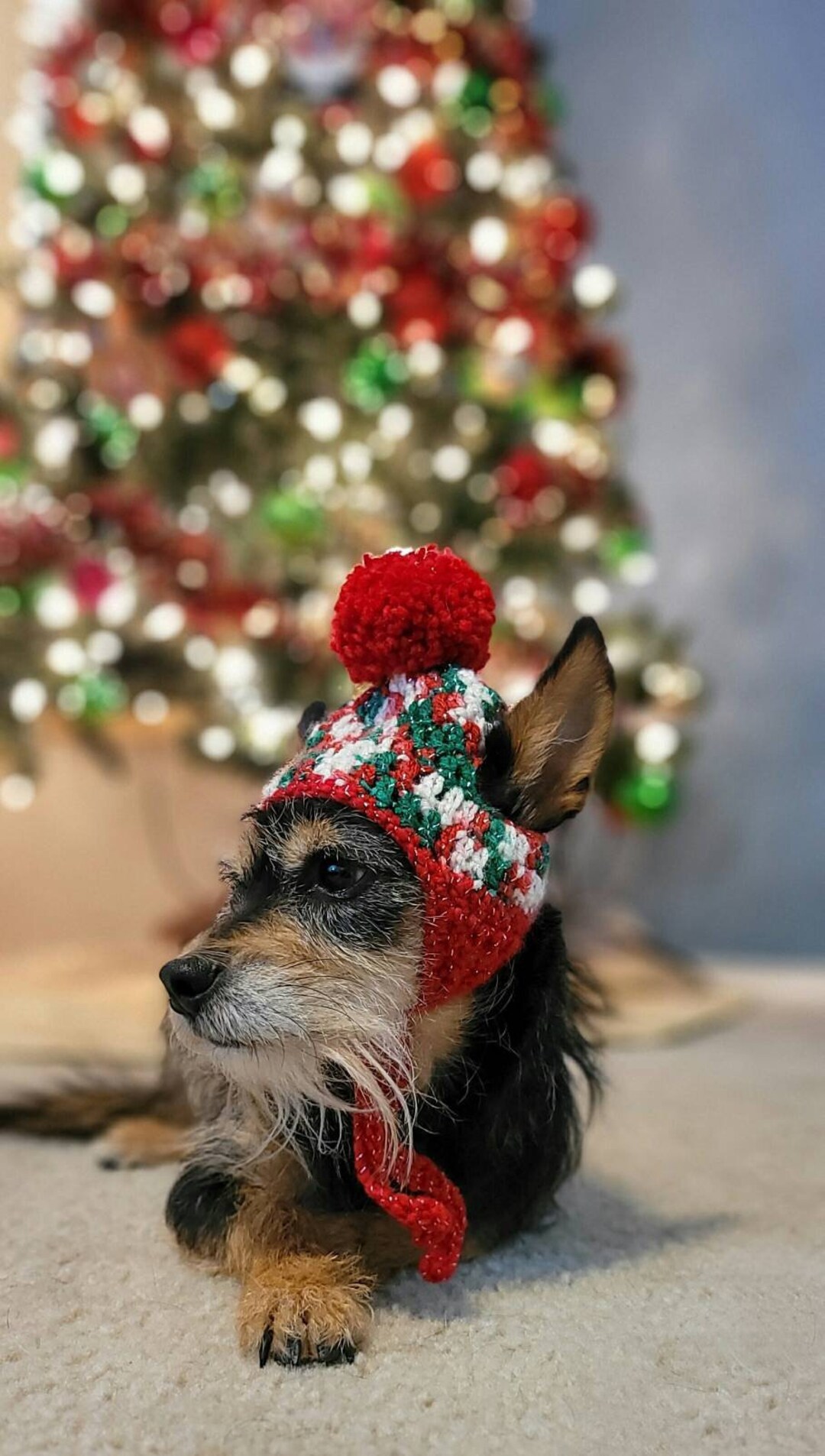 Dog Hat, Cat Hat, Dog Christmas Hat, Dog Crochet Hat Etsy