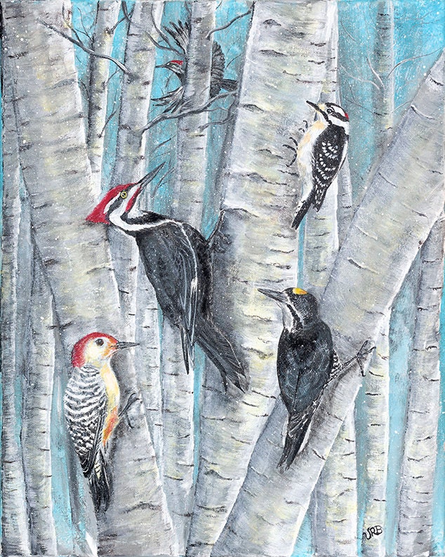 Northwoods Woodpeckers, Nature, Birds, Winter Scene, Forest, Woods ...