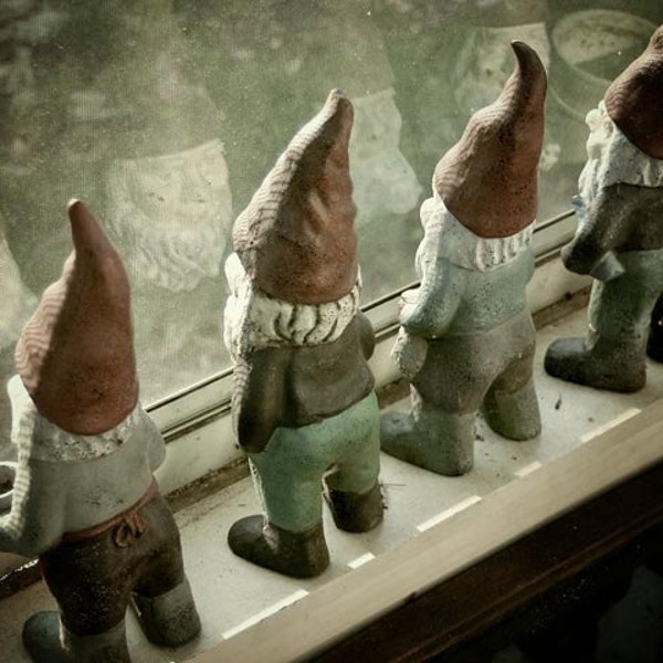 Waiting for Spring - Color Photograph, Garden Gnomes, Spring, Seasons, Reflections, Cottage, Fine Art Print