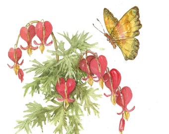 Butterfly and Bleeding Heart 9.25 x 9.25 original watercolor