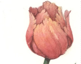 Tulip I 11 x 5 lithograph