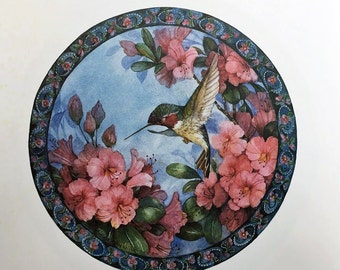 Anna's Hummingbird with Azaleas 12 x 12 lithograph