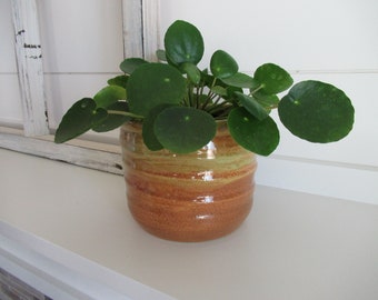 Stoneware Planter / Plant Pot / Stoneware Crock