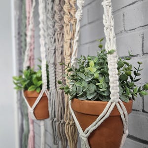 May include: Macrame plant hangers in a range of neutral tones, each supporting a terracotta pot with greenery. The hangers are displayed against a white brick wall, demonstrating a bohemian aesthetic.