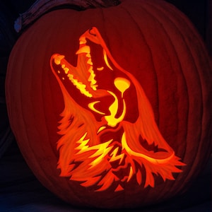May include: A carved pumpkin with a glowing orange wolf design. The wolf is howling with its mouth open and its teeth showing. The pumpkin is lit from the inside, creating a spooky effect.