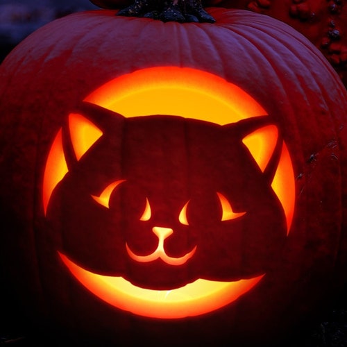 Printable Kitten Pumpkin Carving Stencil Halloween Pumpkin - Etsy