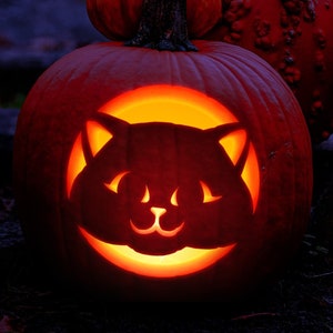 Pumpkin cat carvings - .de