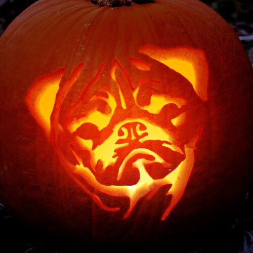Printable Pug Pumpkin Carving Stencil Halloween Pumpkin - Etsy