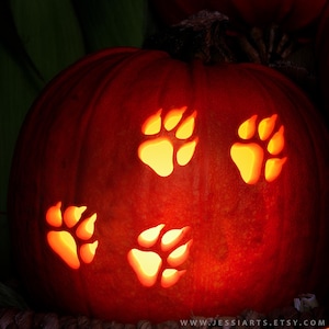May include: A carved pumpkin with four paw prints cut out, illuminated from inside. The pumpkin is orange and the paw prints are glowing orange.