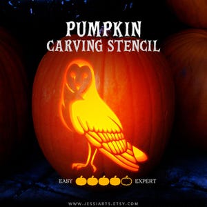 Può includere: Una zucca arancione brillante con un disegno intagliato di un barbagianni illuminato dall'interno. Il testo PUMPKIN CARVING STENCIL appare in alto, con una scala di difficoltà con cinque icone di zucca da EASY a EXPERT in basso.