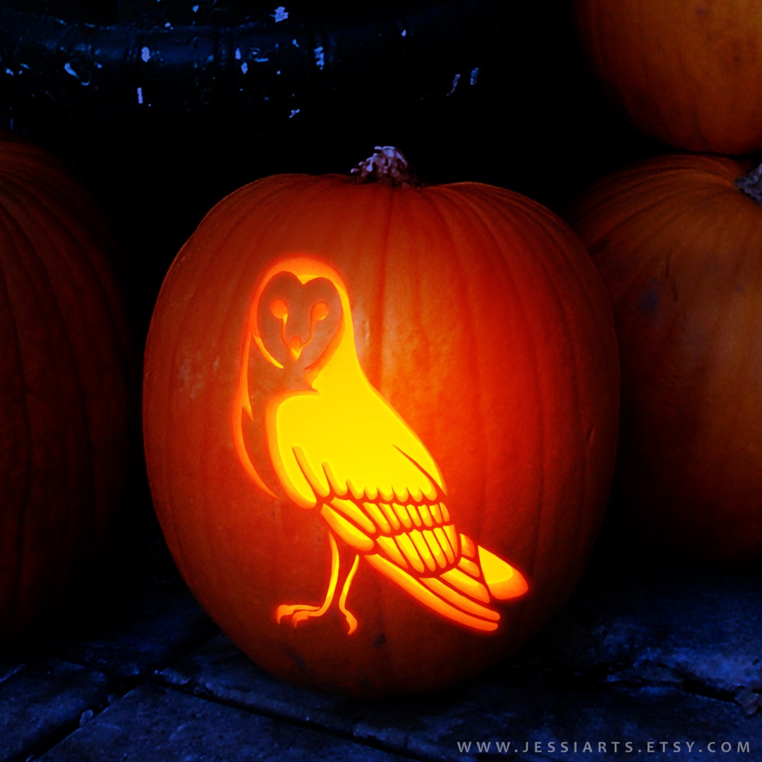 Printable Barn Owl Pumpkin Carving Stencil Halloween Pumpkin