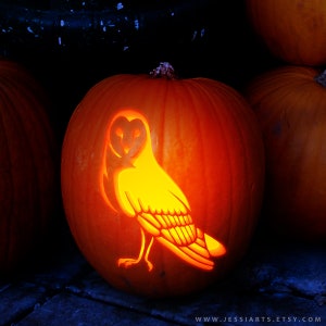 Printable Barn Owl Pumpkin Carving Stencil | Halloween Pumpkin Carving Template | Barn Owl Jack-o-Lantern Stencil