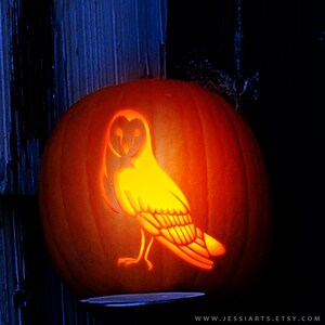 Printable Barn Owl Pumpkin Carving Stencil Halloween Pumpkin Carving ...