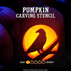 May include: A carved orange pumpkin illuminated from within, featuring a silhouette of a raven perched on a branch. The text PUMPKIN CARVING STENCIL appears at the top, with a difficulty scale labeled EASY to EXPERT and the URL WWW.JESSIARTS.ETSY.COM.