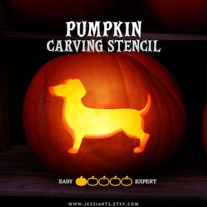 Puede incluir: Una calabaza de color naranja brillante con la silueta tallada de un perro salchicha. El texto PUMPKIN CARVING STENCIL aparece en la parte superior. Debajo, las palabras EASY y EXPERT flanquean cinco iconos de calabaza, el primero en amarillo.