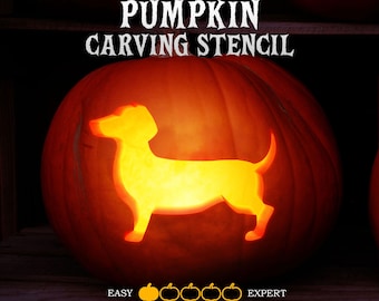 May include: A bright orange pumpkin with a carved silhouette of a dachshund dog. The text PUMPKIN CARVING STENCIL appears at the top. Below the pumpkin, the text EASY and EXPERT flank five pumpkin icons, with the first one highlighted in yellow.