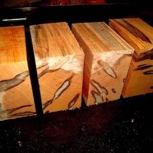 Six (6) Beautiful Ambrosia Maple Bowl Blanks 5&quot; x 5&quot; x 3&quot;