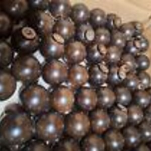 May include: A collection of dark brown wooden balls with a small metal knob on top. The balls are arranged in a box.