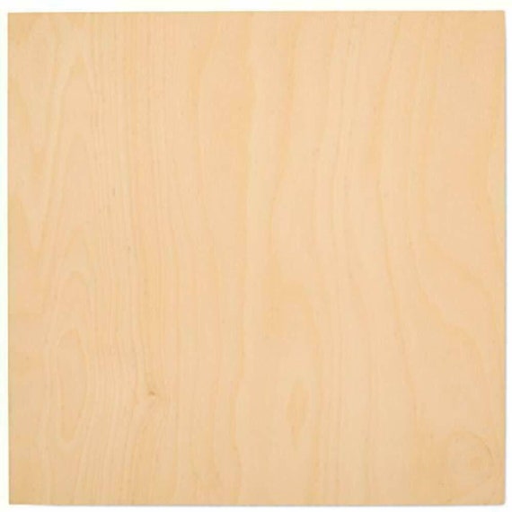12 Birch Wood Texture Uses for Light Looks