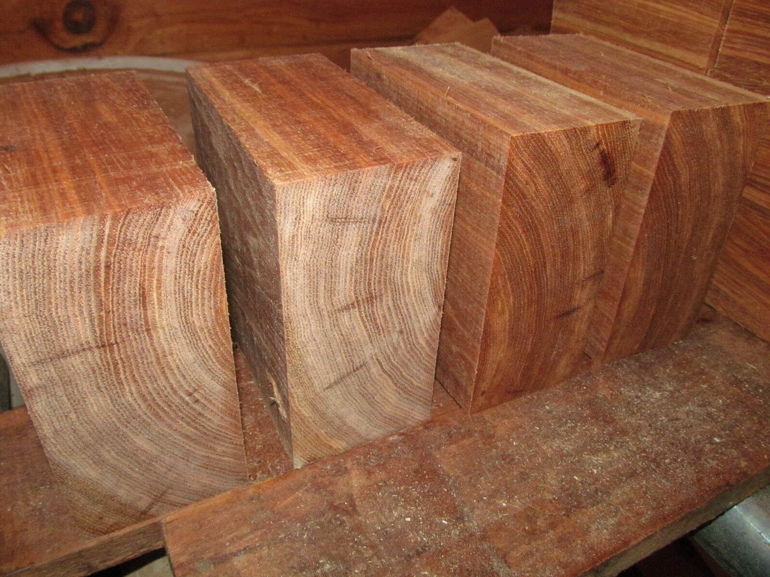 Four PECAN 6 X 6 X 3 TURNING BLANKS Lathe Turning Block Lumber Wood Etsy