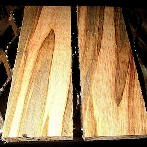 2 Beautiful KILN Dried Ambrosia Maple Knife Scales~6 X 2 X 1/2&quot;