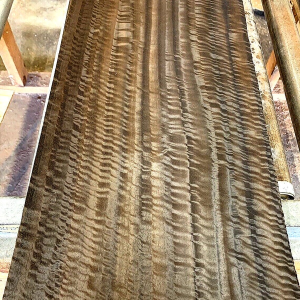 6 Sheets Stunning Fiddleback Fumed Eucalyptus Veneer 24" x 11 3/4"