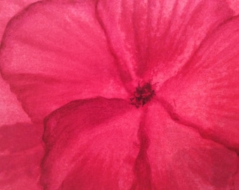 PINK HIBISCUS WATERCOLOR Print Gum Bichromate 8x10 Mounted Matted
