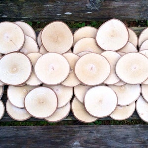 50 Maple wood slices 2.5 3.25 image 6