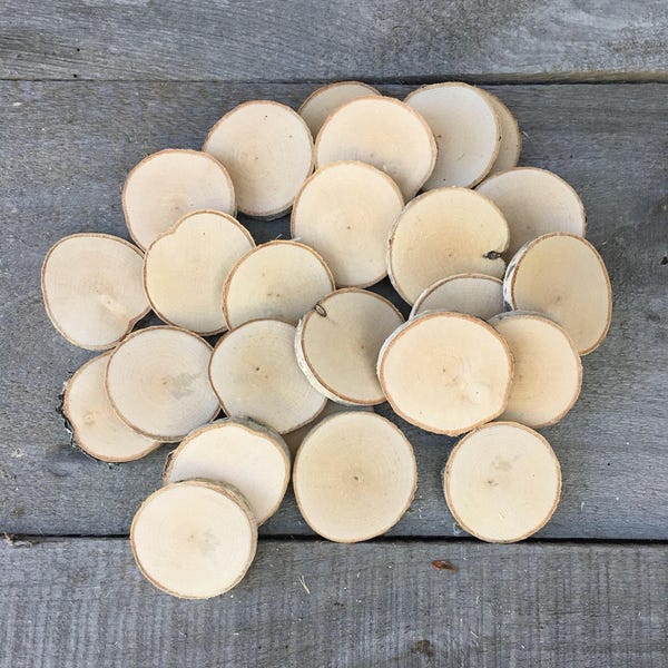 25 Birch wood slices 1.5" - 1.75"