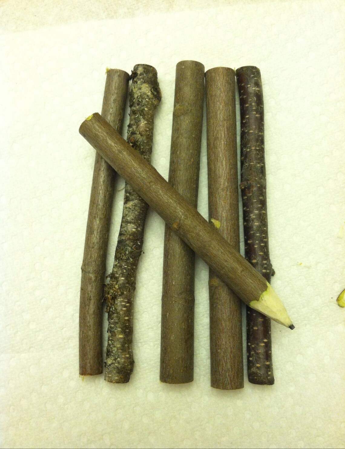 Set of 10 Rustic twig pencils Etsy